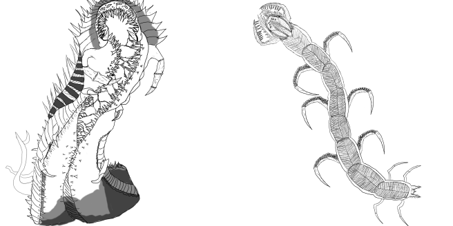 fnp inital sketches 2.png